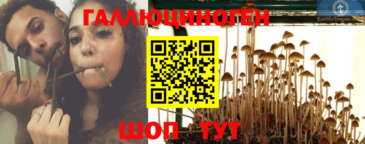 Галлюциногенные грибы Magic Shrooms Озёры